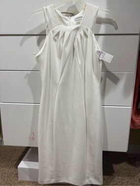 Calvin Klein Sleeveless Pleated Yoke Formal Dress